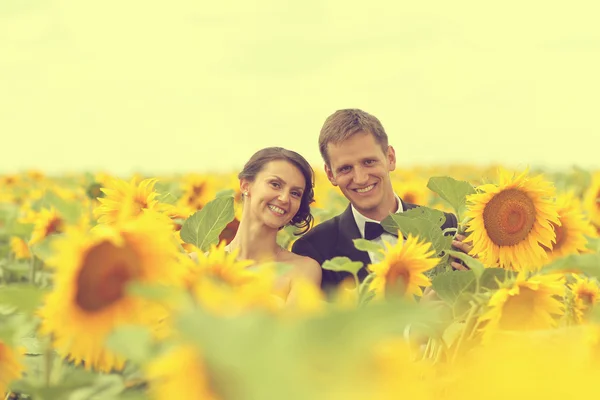 Krásná nevěsta a ženich všeobjímající ve slunečnicovém poli — Stock fotografie