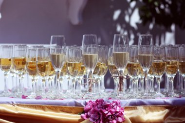 Düğün resepsiyonunda şampanya ile dolu birçok camlar