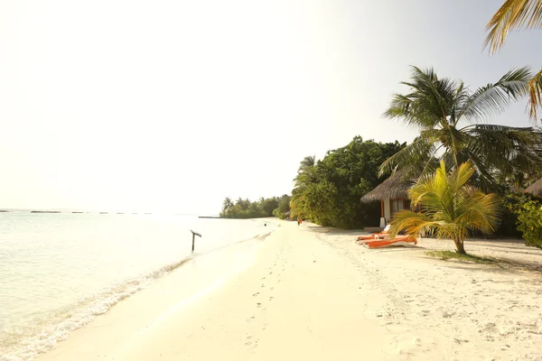 Schöne Aussicht auf tropischen Strand Sand und Palmen auf den Malediven — Stockfoto