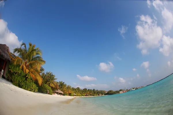 Water villa's op tropische Caribische eiland in de Maldiven — Stockfoto