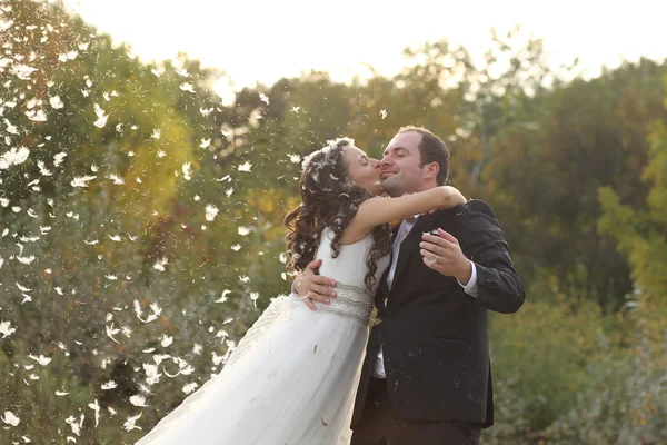 Güzel gelin ve damat parkta tüyler ile eğleniyor