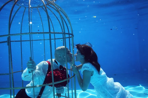 Красива наречена і наречена розважаються під водою в пташиній клітці — стокове фото