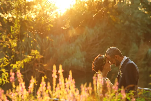 Schöne Braut und Bräutigam umarmen und küssen sich auf dem Feld — Stockfoto