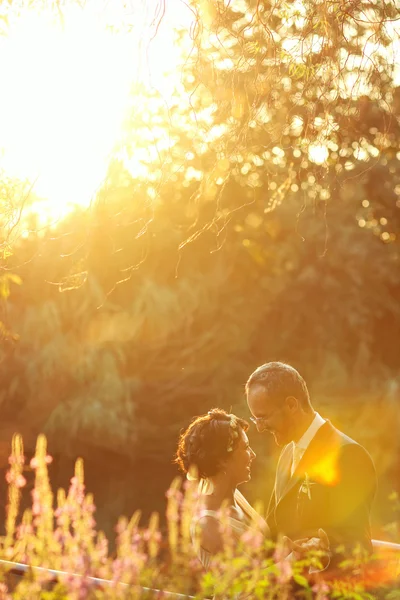 Beautiful bride and groom embracing and kissing in field — Stock Photo, Image