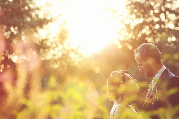 Vackra bruden och brudgummen omfamnar och kysser i fältet — Stockfoto