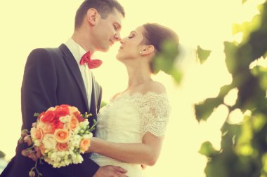 Güzel gelin ve damat kucaklayan ve düğün günü güzel güneş ışığı altında öpüşme