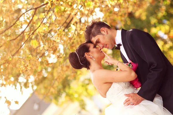 Vackra bruden och brudgummen firar bröllopsdag i staden — Stockfoto