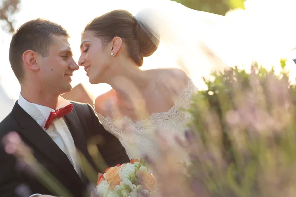 Gyönyörű menyasszony és a vőlegény átöleled, és az esküvő napján a gyönyörű napsütésben — Stock Fotó