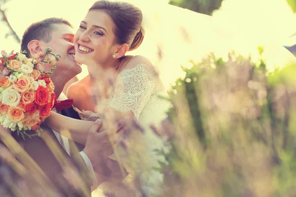 Beautiful bride and groom embracing and kissing on wedding day in beautiful sunlight — Stock Photo, Image