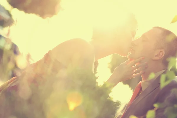 Beautiful bride and groom embracing and kissing on wedding day in beautiful sunlight — Stock Photo, Image