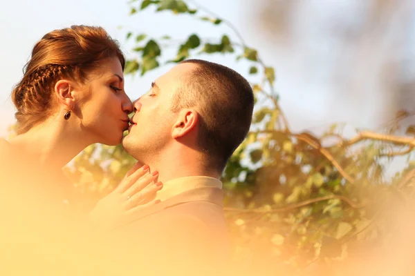 Schöne Braut und Bräutigam umarmen und küssen sich am Hochzeitstag im schönen Sonnenlicht — Stockfoto