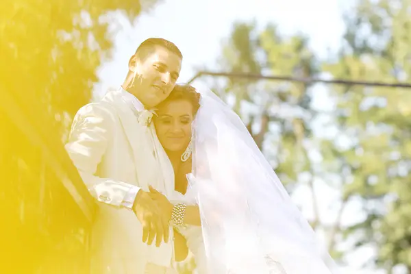 Hermosos novios celebrando el día de su boda en el parque —  Fotos de Stock