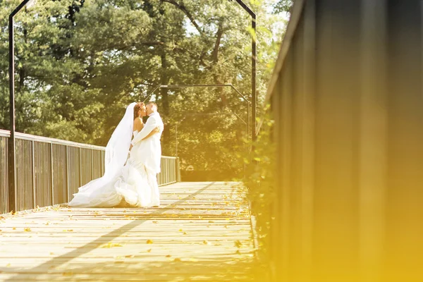 美しい花嫁と新郎の公園での結婚式の日を祝う — ストック写真