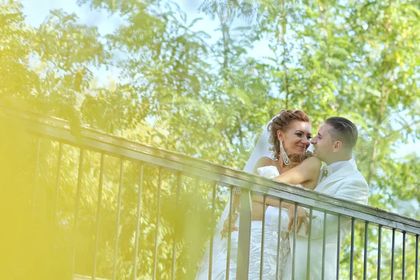 Vackra bruden och brudgummen fira sin bröllopsdag i parken — Stockfoto
