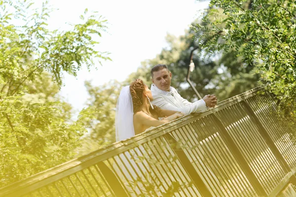 Hermosos novios celebrando el día de su boda en el parque —  Fotos de Stock