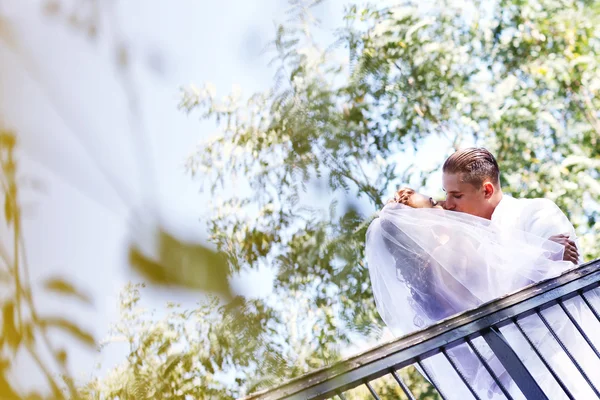 Hermosos novios celebrando el día de su boda en el parque —  Fotos de Stock