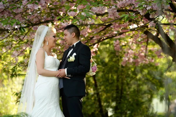 Heureux couple nuptial le jour du mariage embrassant dans la nature — Photo