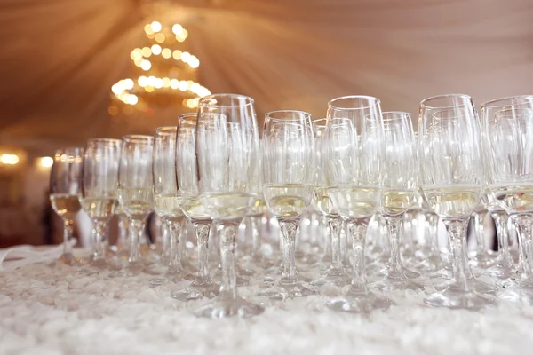 Many glasses of champagne at wedding reception — Stock Photo, Image