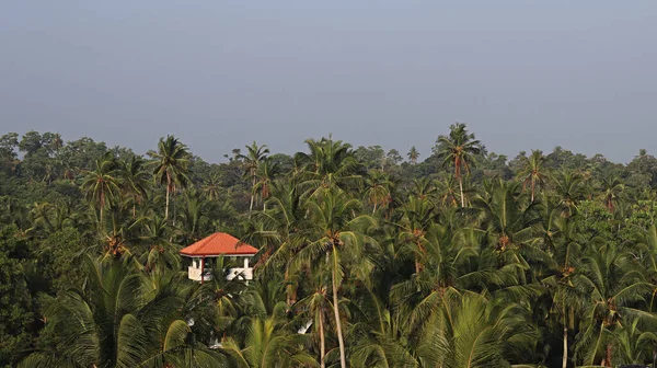 Dům Červenou Střechou Pozadí Zelených Palem Srí Lance Asie — Stock fotografie