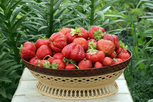 Las Fresas Florero Sobre Fondo Hierba Verde Día Veraniego — Foto de Stock