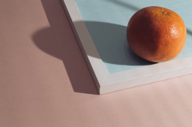 Greyfurtlu ve güzel gölgeli minimalist bir arka plan..