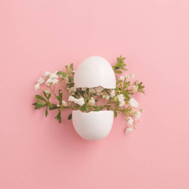 White broken egg with green grass and white flowers. Modern easter concept very artistic.