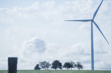 Doğada rüzgar türbinleri