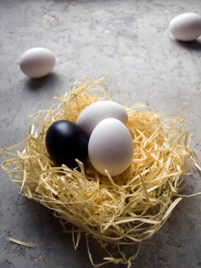 Paskalya için hazırlanıyorum. Yumurtalı yuva. Şu anda sadece bir yumurta (siyahla) boyanırken, diğerleri doğal bir renge sahiptir: beyaz. Çevreden uzak dur..