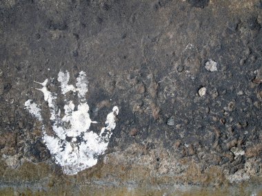 Sert bir beton duvarda beyaz avuç izi. Bunun etrafında beyaz boya lekeleri var. Yalnızlık ve terk edilme kavramı..