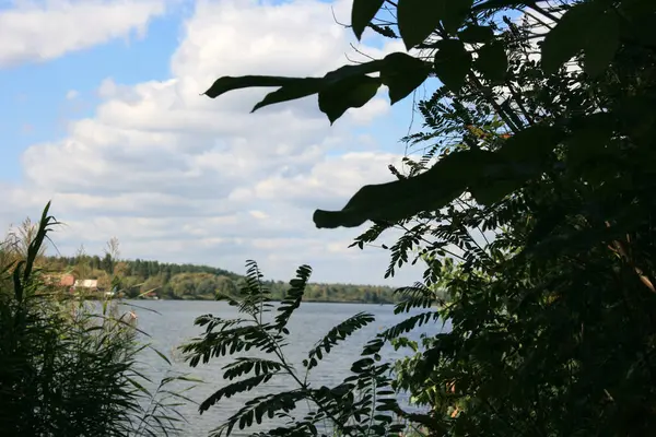 Yeşil çalıların arkasından nehrin manzarası.