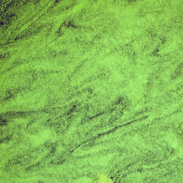 Surface Water Covered Green Algae Mud Abstract Picturesque Natural Background — Stock Photo, Image