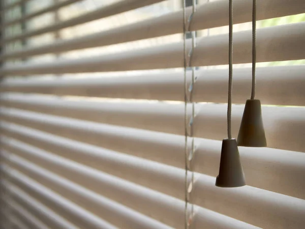 Penceredeki beyaz, kapalı plastik panjurlar..