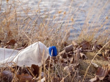 Mavi şapkalı boş bir plastik şişe kıyıda kuru çimenlerin ve yaprakların içinde yatıyor. Doğa çöpten muzdarip. Çevre kirliliği kavramı. Çöp yüzünden doğanın ölümü.