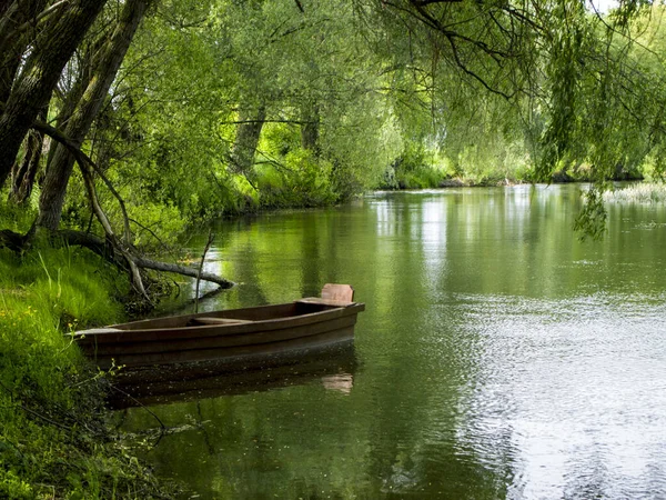 Küçük kahverengi tekne nehir kıyısına demirli. Büyük yaşlı ağaçların dalları suyun üzerinde eğildi. Yapraklar su birikintisinin yüzeyinde yüzüyor. Bir sürü yeşilliği olan resmedilmiş bir manzara..