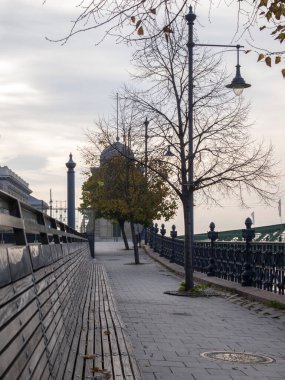 Terk edilmiş bir sonbahar sokağı manzarası