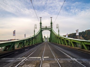 Özgürlük Köprüsü 'nün önü. Budapeşte, Macaristan - Ekim 2019