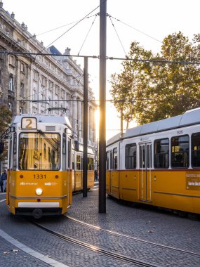 Parlak sarı tramvayların manzarası. Budapeşte, Macaristan - Ekim 2019