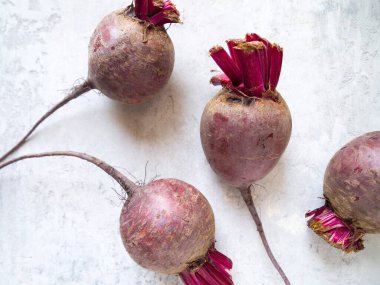 Gri beton arka planda dört taze pancar..