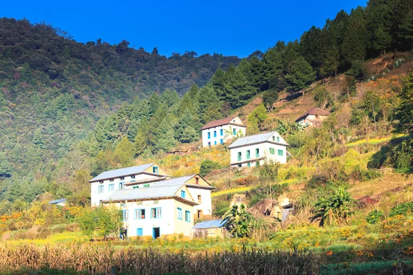 Casas bonitas da aldeia nepalesa — Fotografia de Stock
