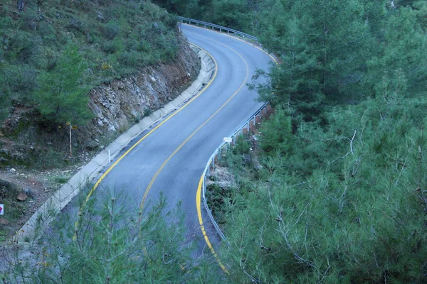 Ormanda Bir Yol — Stok fotoğraf