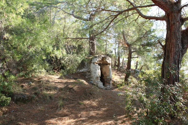 Ormandaki antik su deposu.