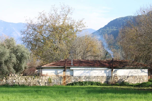 Kiremit çatılı, bacası tüten tek katlı bir ev..