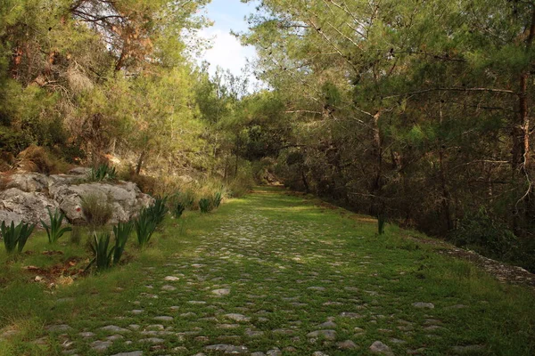Antik Lycia yürüyüş yolu. Gezinti Yolu.