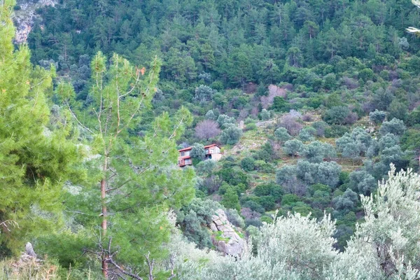 Uma Casa Solitária Floresta — Fotografia de Stock