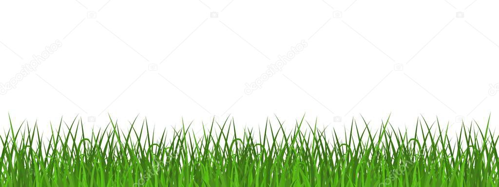 Green grass meadow border. Spring or summer plant field lawn. Template design for park, yard, garden natural landscape decoration, rural fields scenery. Vector illustration