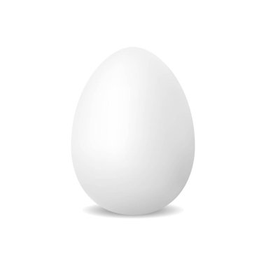 Gerçekçi tavuk yumurtası. Doğal ekolojik ürünlerin boşluğu. Sağlıklı yemek ve Paskalya tatili kavramı. Tasarımınız için şablon oluşturun. Vektör illüstrasyonu