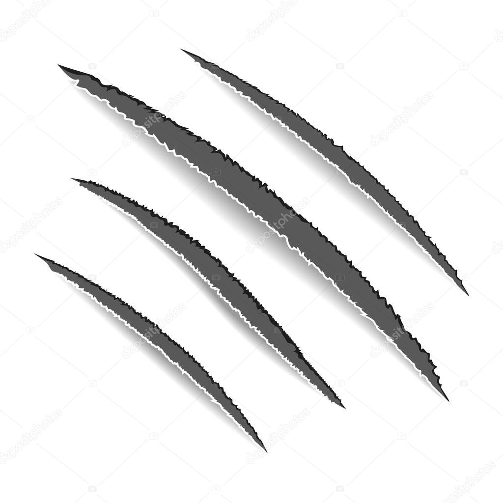 Animal claws scratches. Claw scars. Dog, cat, lion, tiger or bear paw print. Four nails trace. Vector illustration