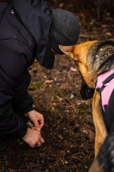 Homem Acende Fogo Floresta Férias Com Cão Processo Acender Fogo — Fotografia de Stock