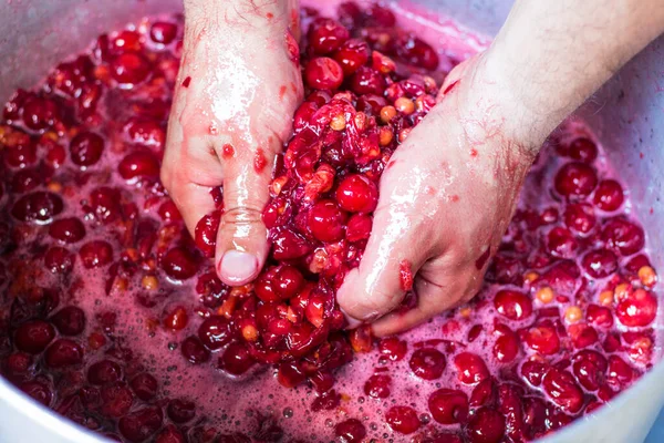 Red Ripe Cherries Saucepan Men Hands Preparation Cherry Liqueur Preservation — Stock Photo, Image