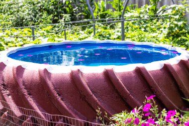 Arka bahçedeki evin suyunda pembe çiçekli büyük bir tekerlekten yapılmış havuz.